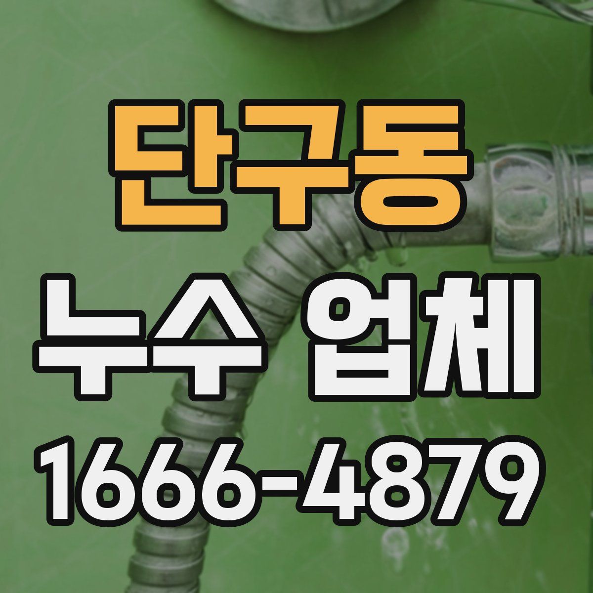 단구동 누수 업체