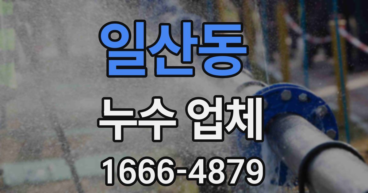 일산동 누수 업체