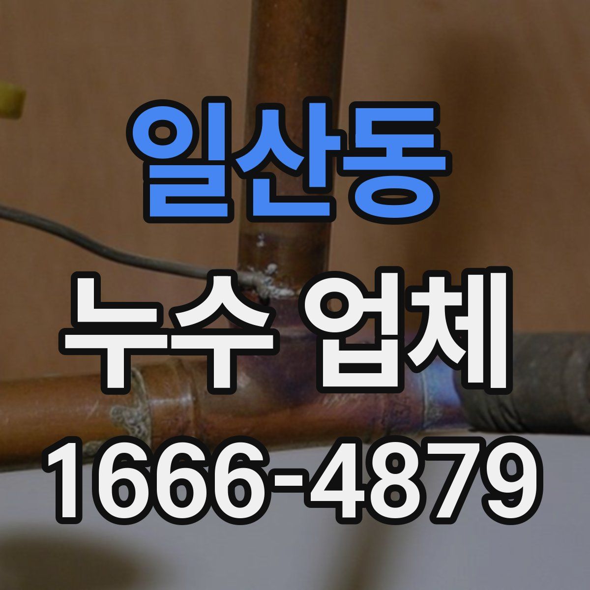 일산동 누수 업체