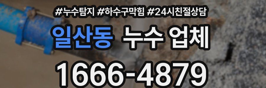 일산동 누수 업체
