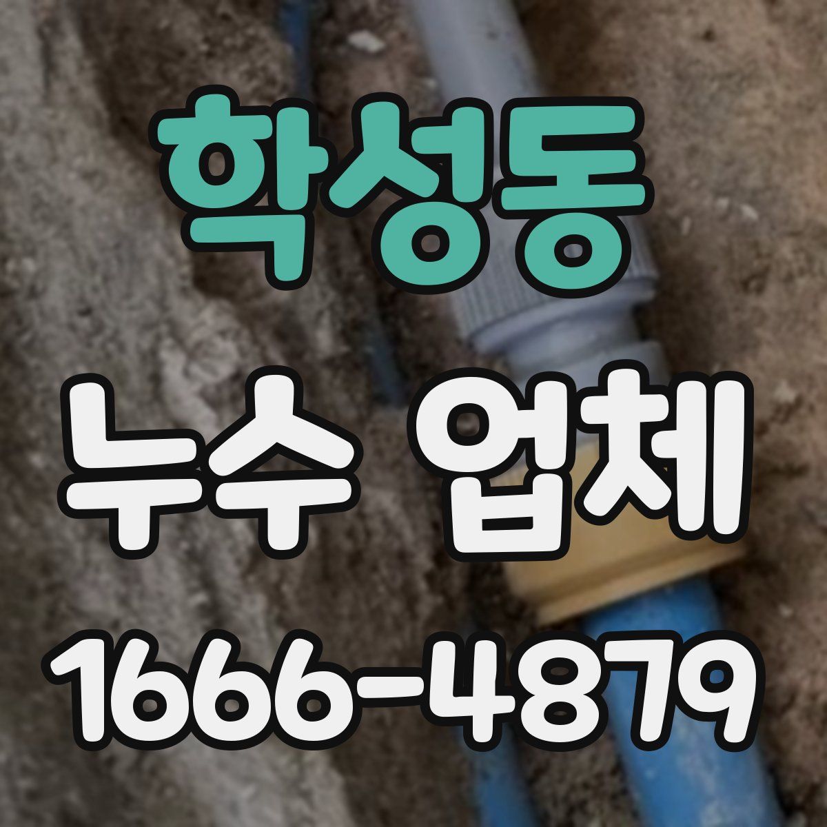 학성동 누수 업체