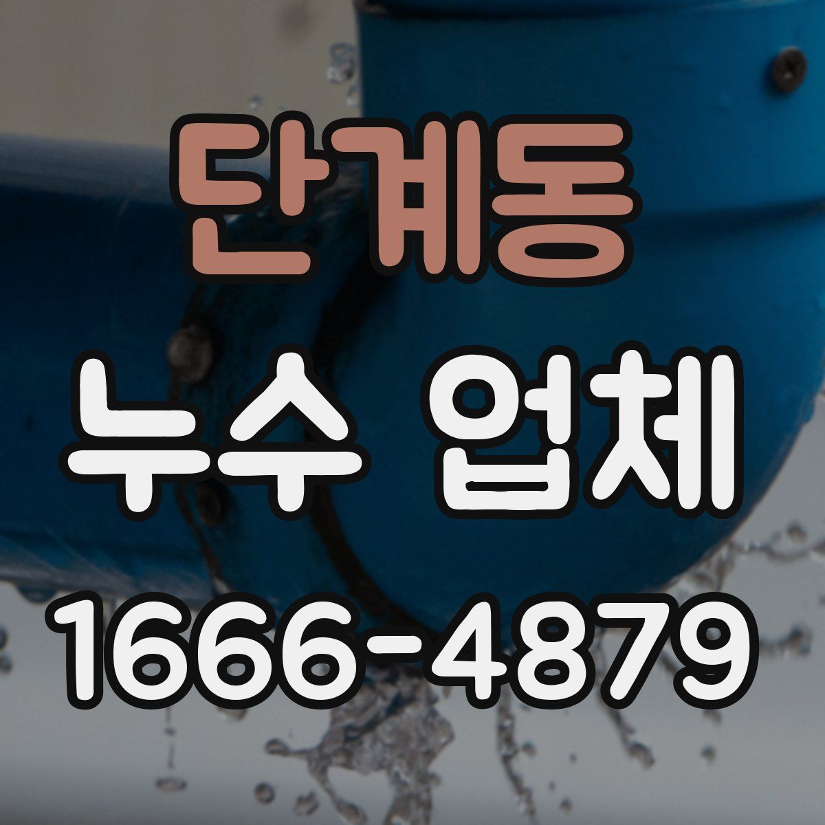 단계동 누수 업체