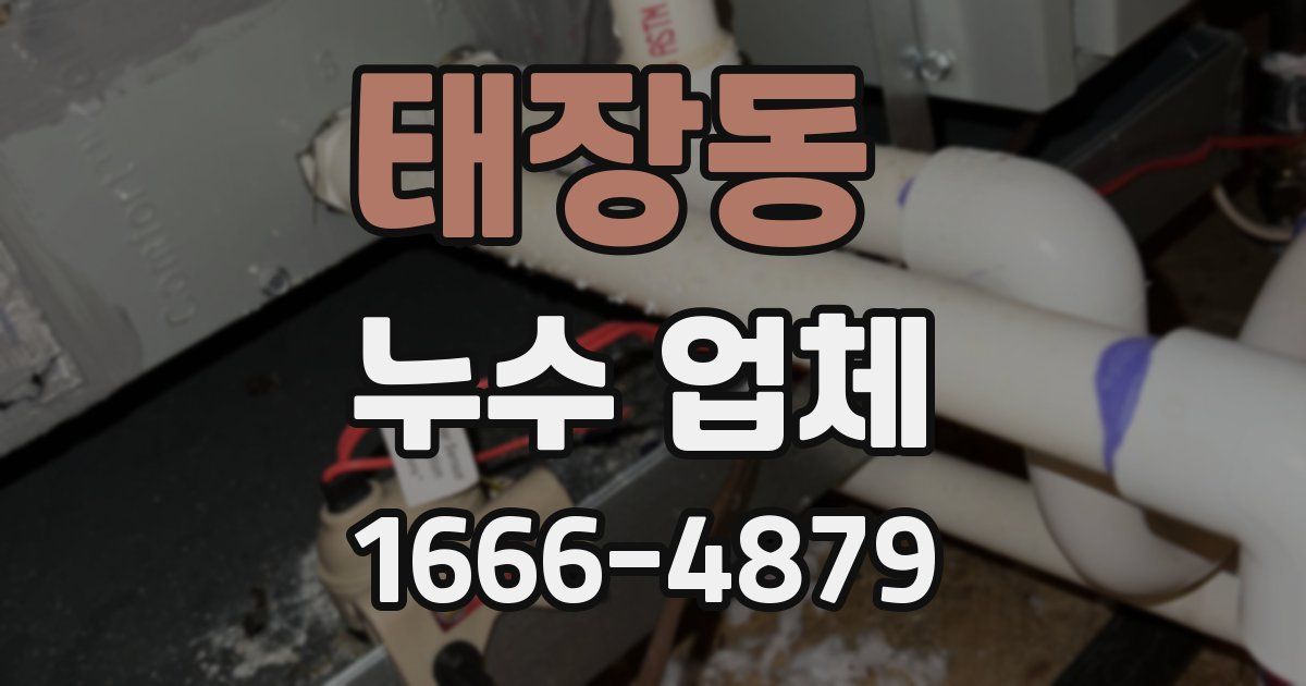 태장동 누수 업체