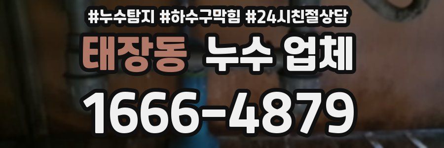 태장동 누수 업체