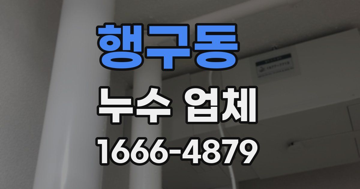 행구동 누수 업체