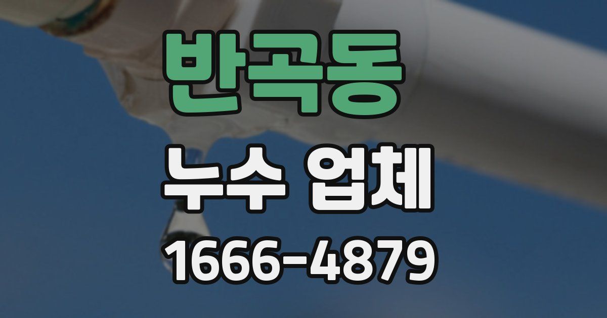 반곡동 누수 업체