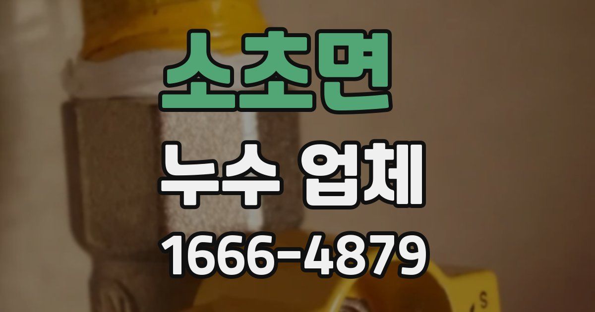 소초면 누수 업체