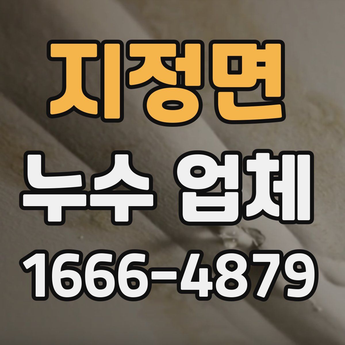 지정면 누수 업체