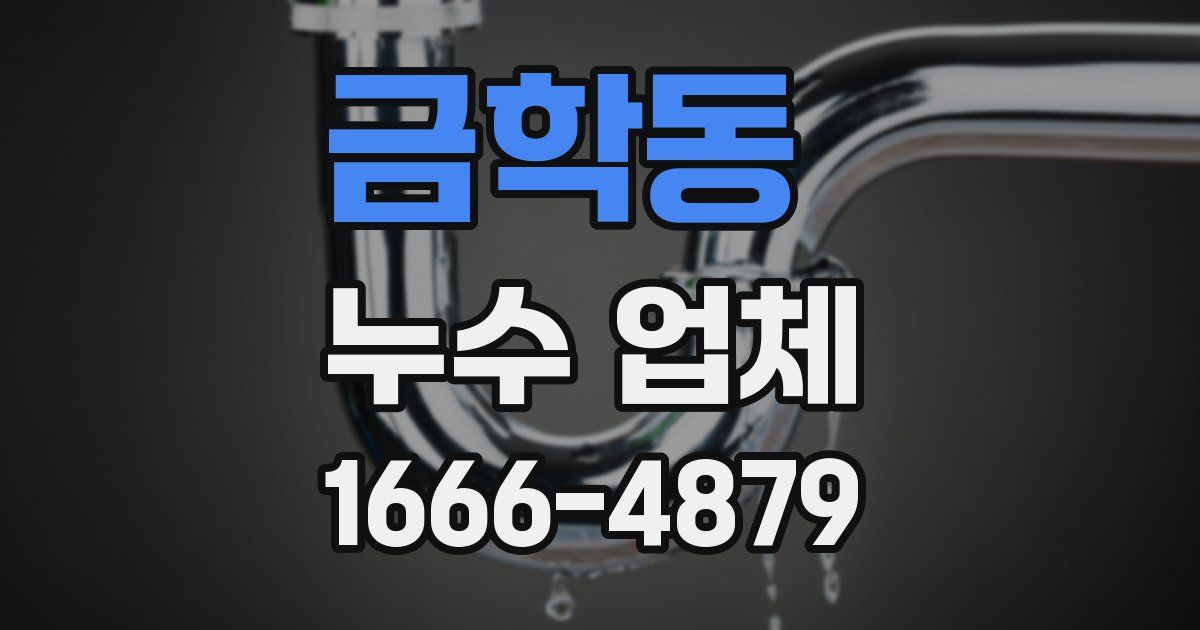 금학동 누수 업체