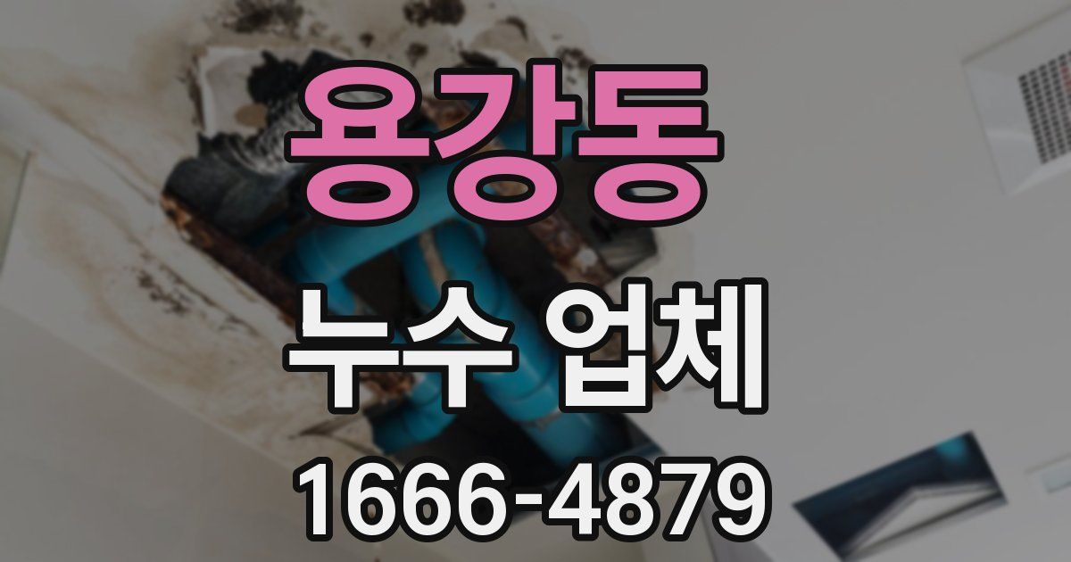 용강동 누수 업체