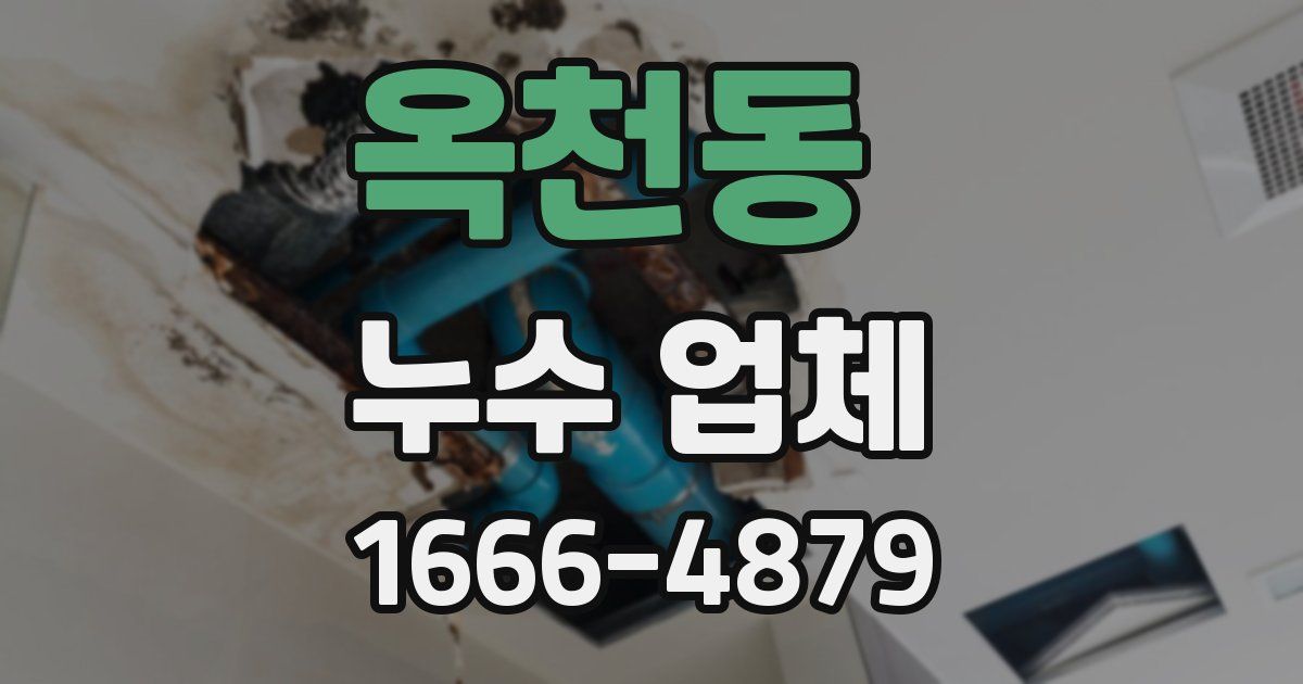 옥천동 누수 업체