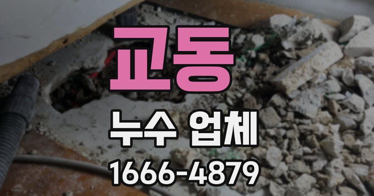 교동 누수 업체