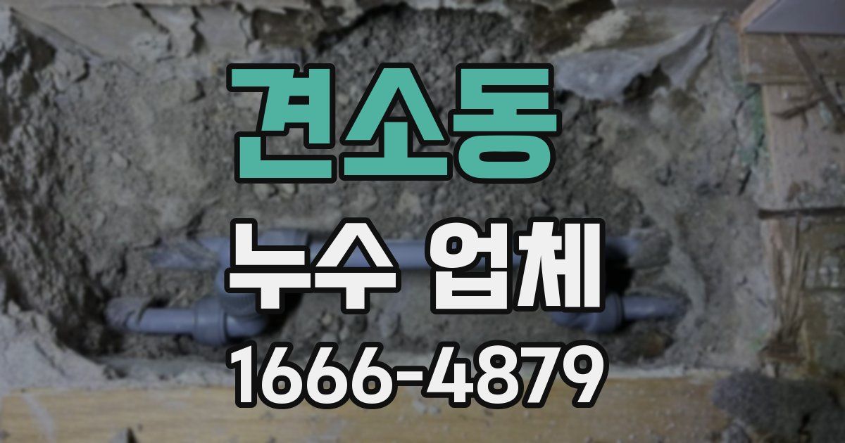 견소동 누수 업체