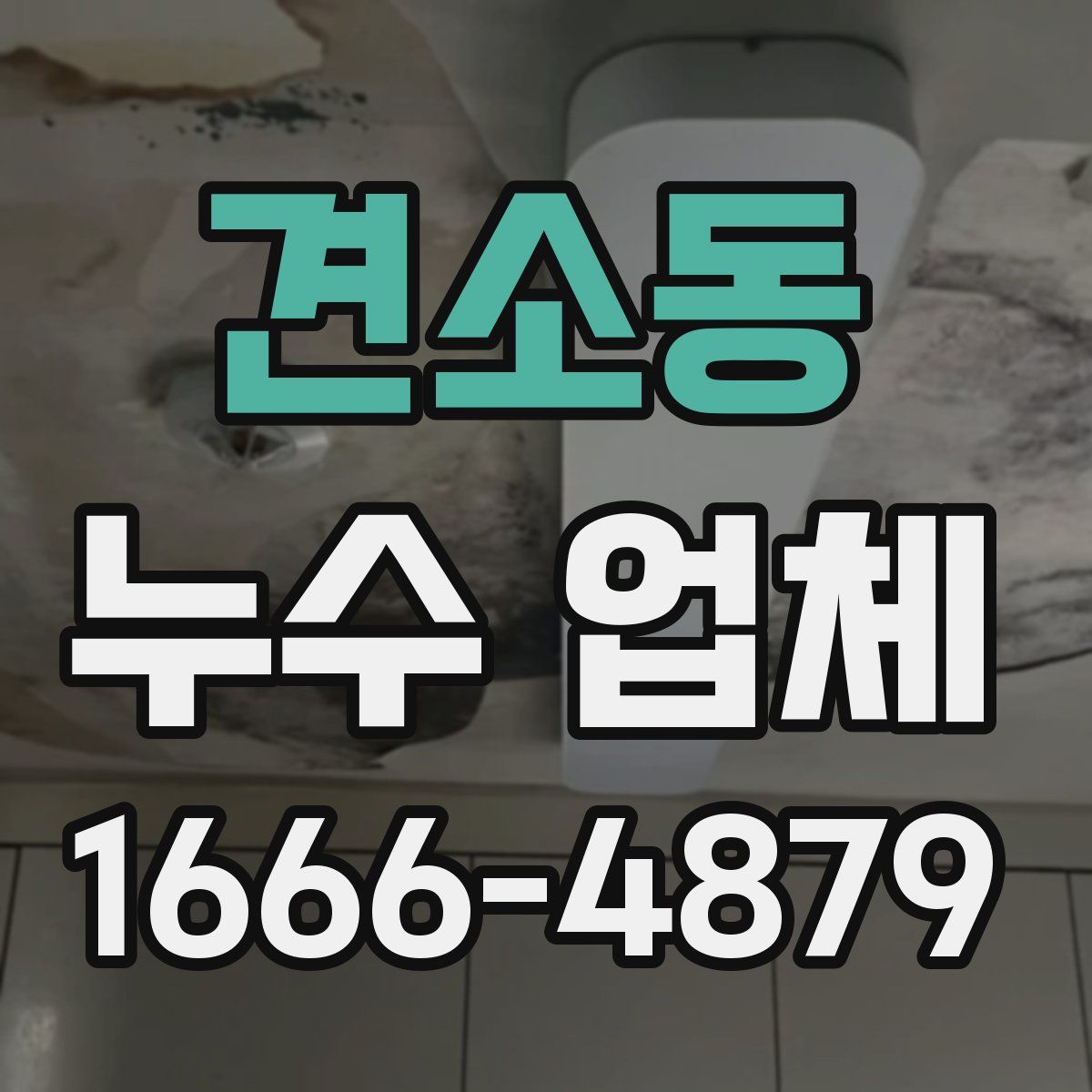 견소동 누수 업체