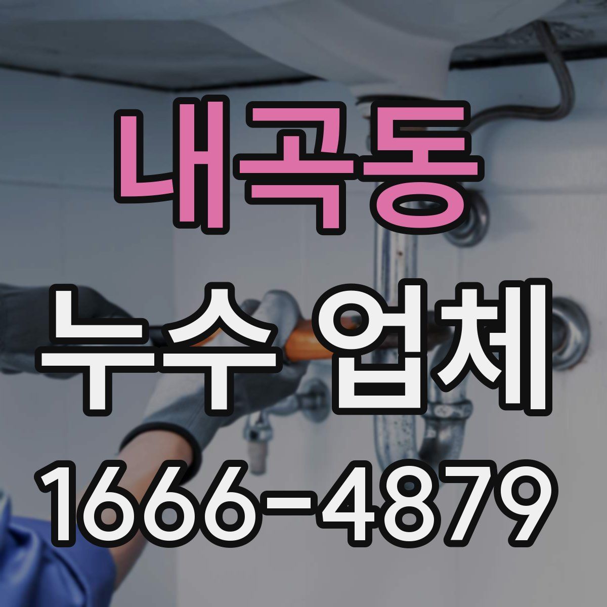 내곡동 누수 업체