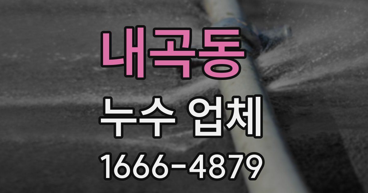 내곡동 누수 업체