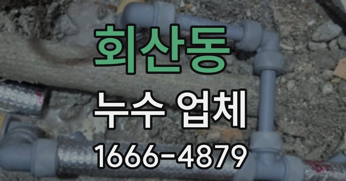 회산동 누수 업체