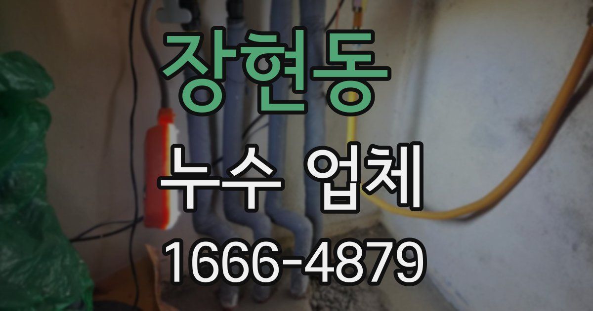 장현동 누수 업체