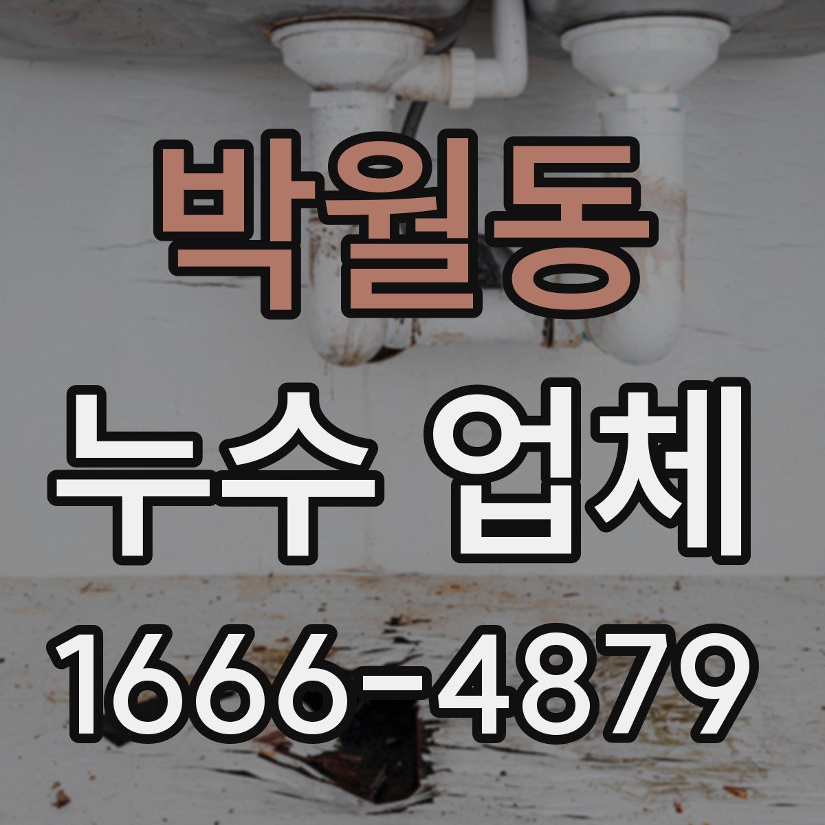 박월동 누수 업체