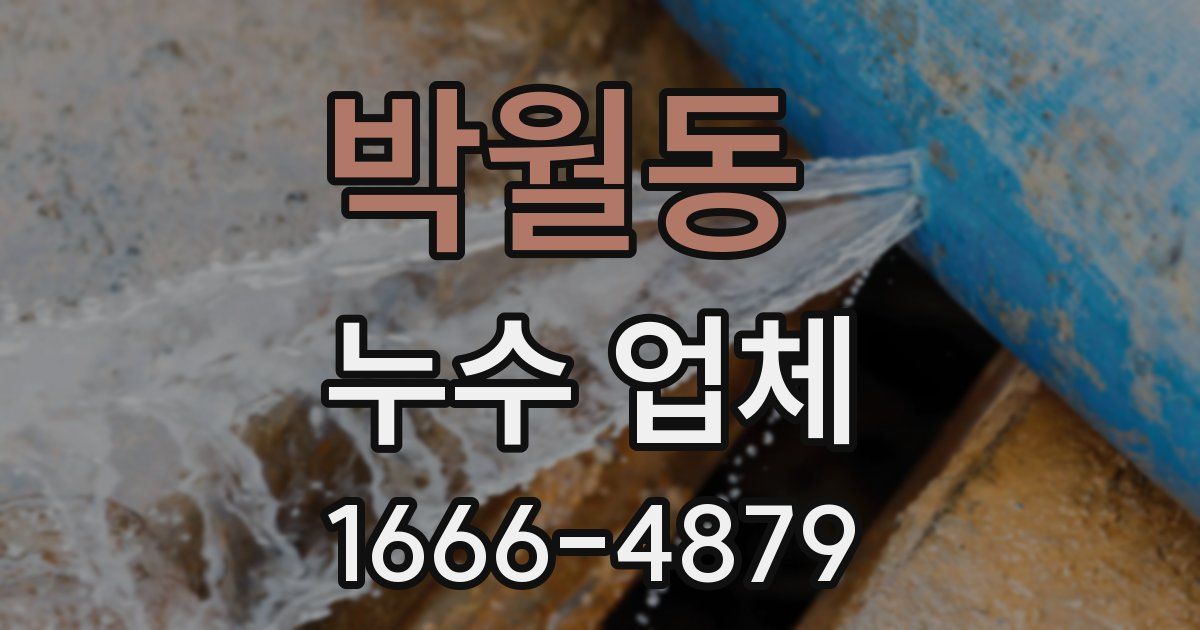 박월동 누수 업체