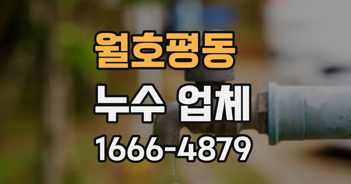월호평동 누수 업체