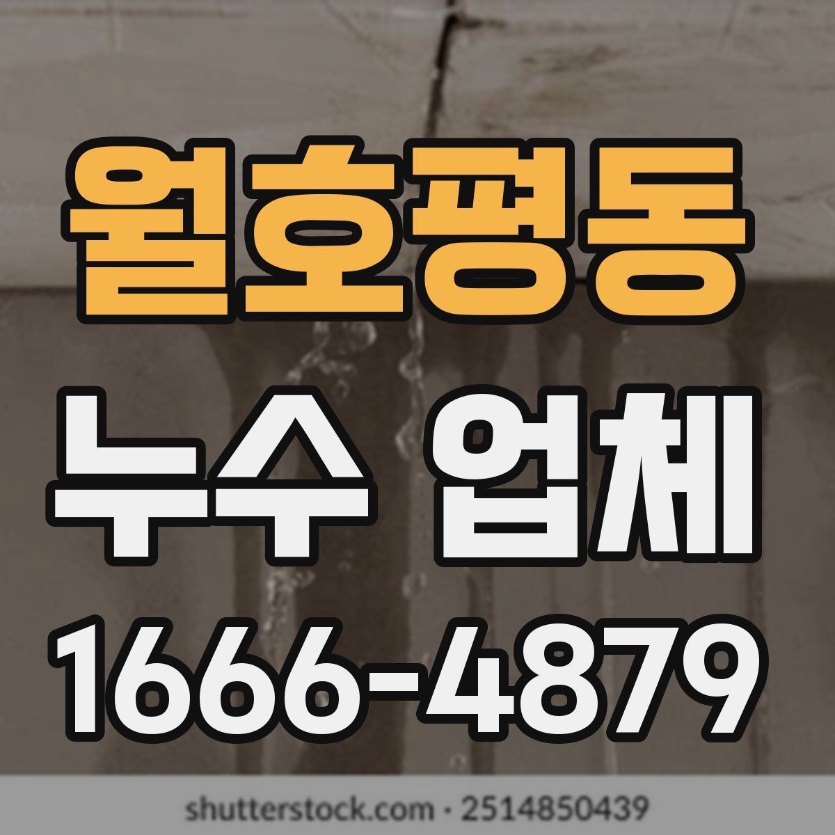 월호평동 누수 업체