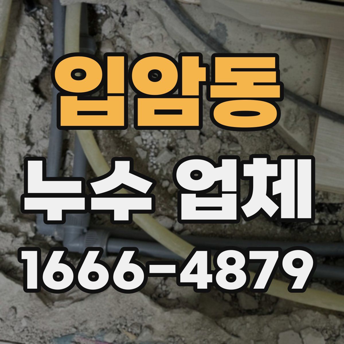 입암동 누수 업체