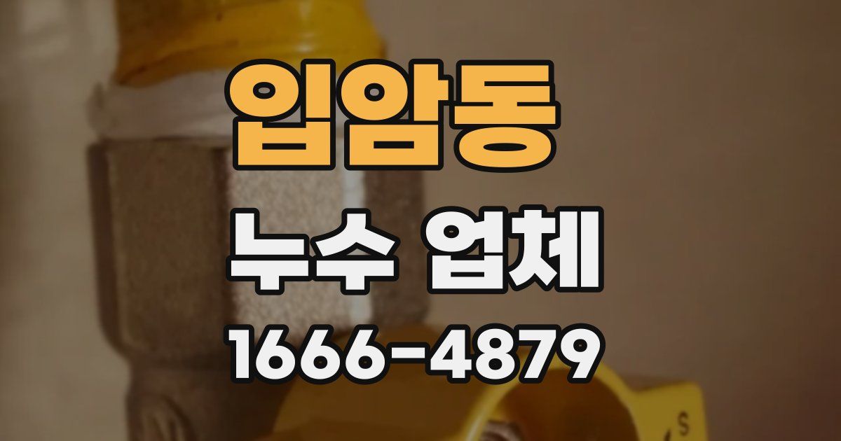 입암동 누수 업체