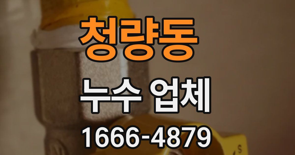 청량동 누수 업체