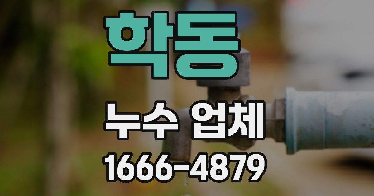 학동 누수 업체