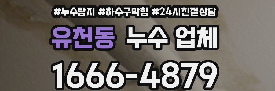 유천동 누수 업체