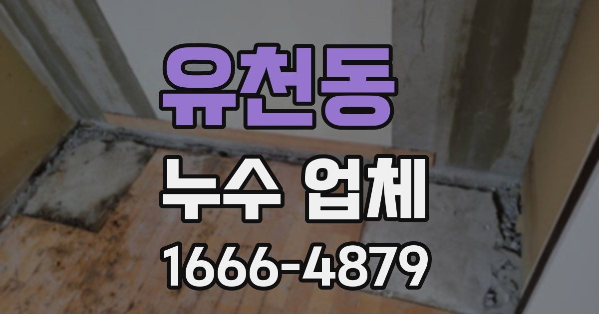 유천동 누수 업체