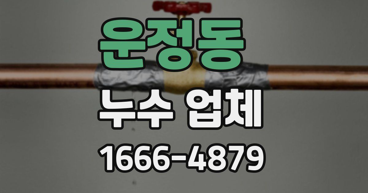 운정동 누수 업체