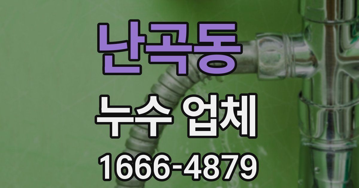 난곡동 누수 업체