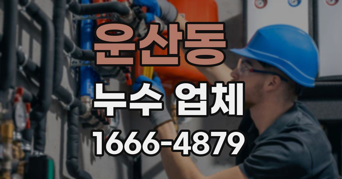 운산동 누수 업체