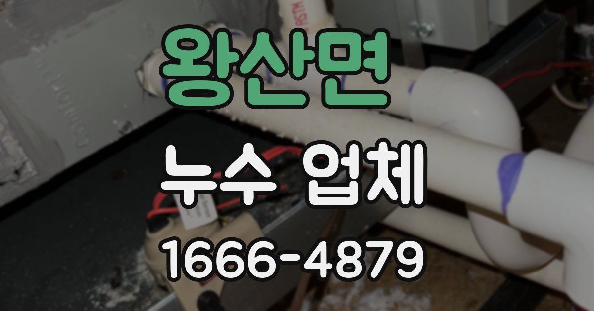 왕산면 누수 업체