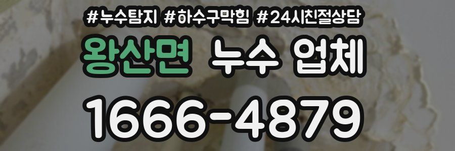 왕산면 누수 업체