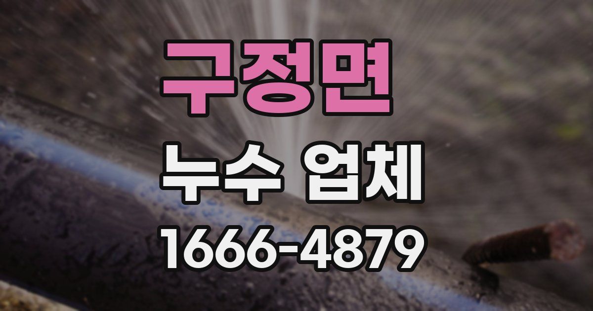 구정면 누수 업체