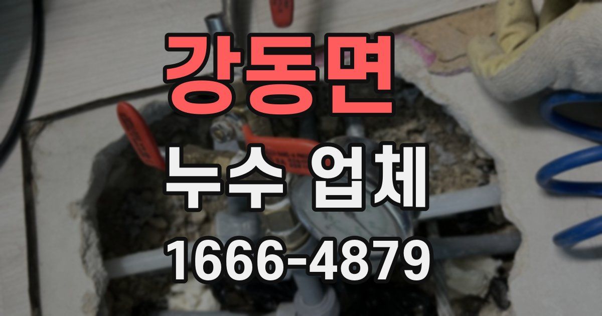 강동면 누수 업체