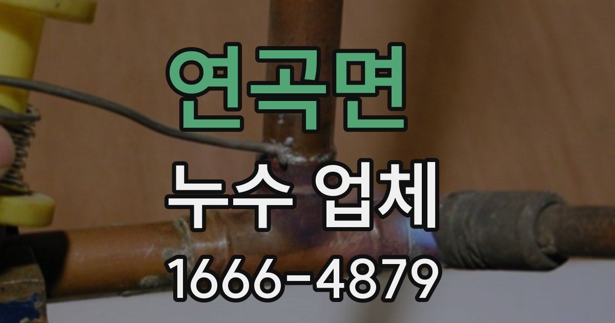연곡면 누수 업체