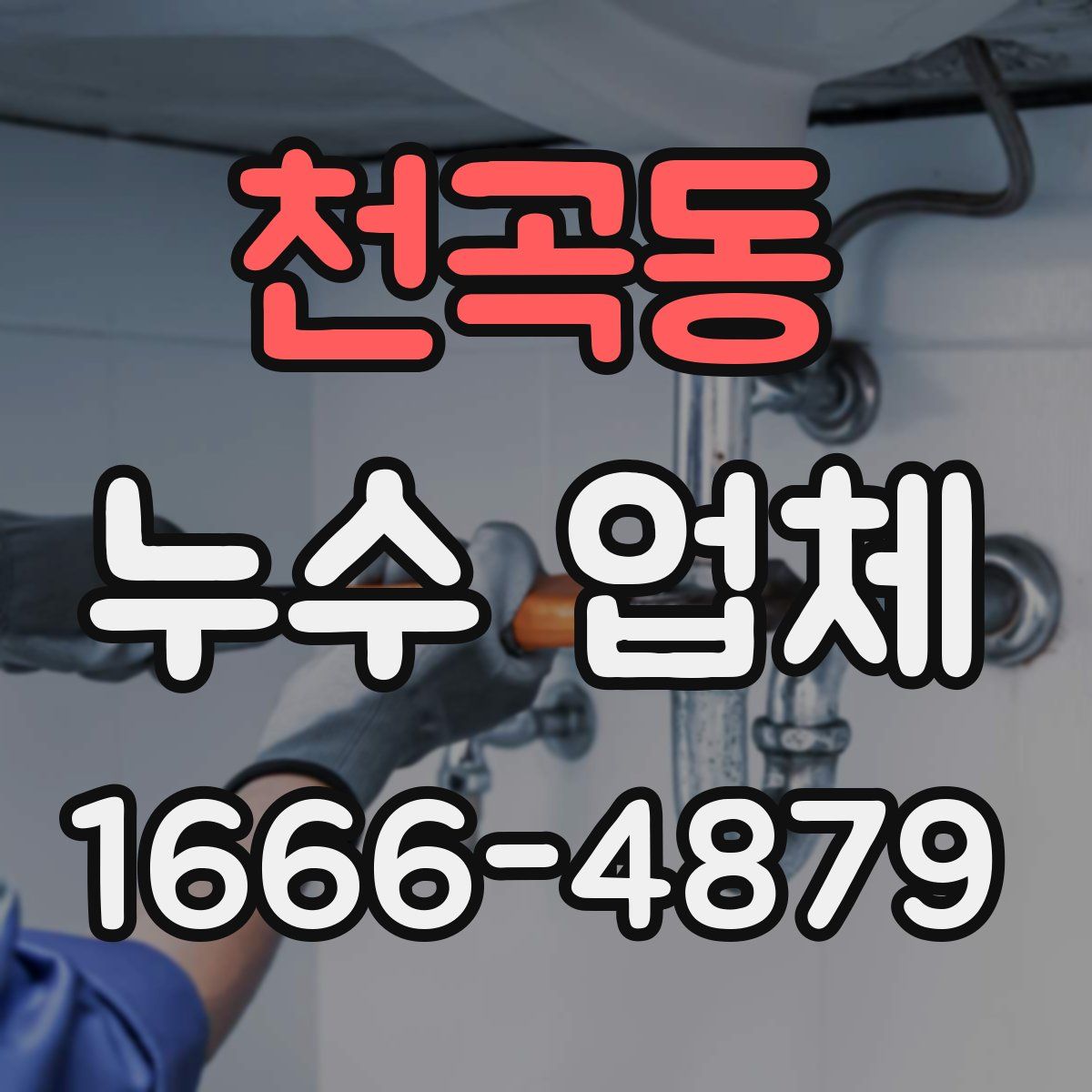 천곡동 누수 업체