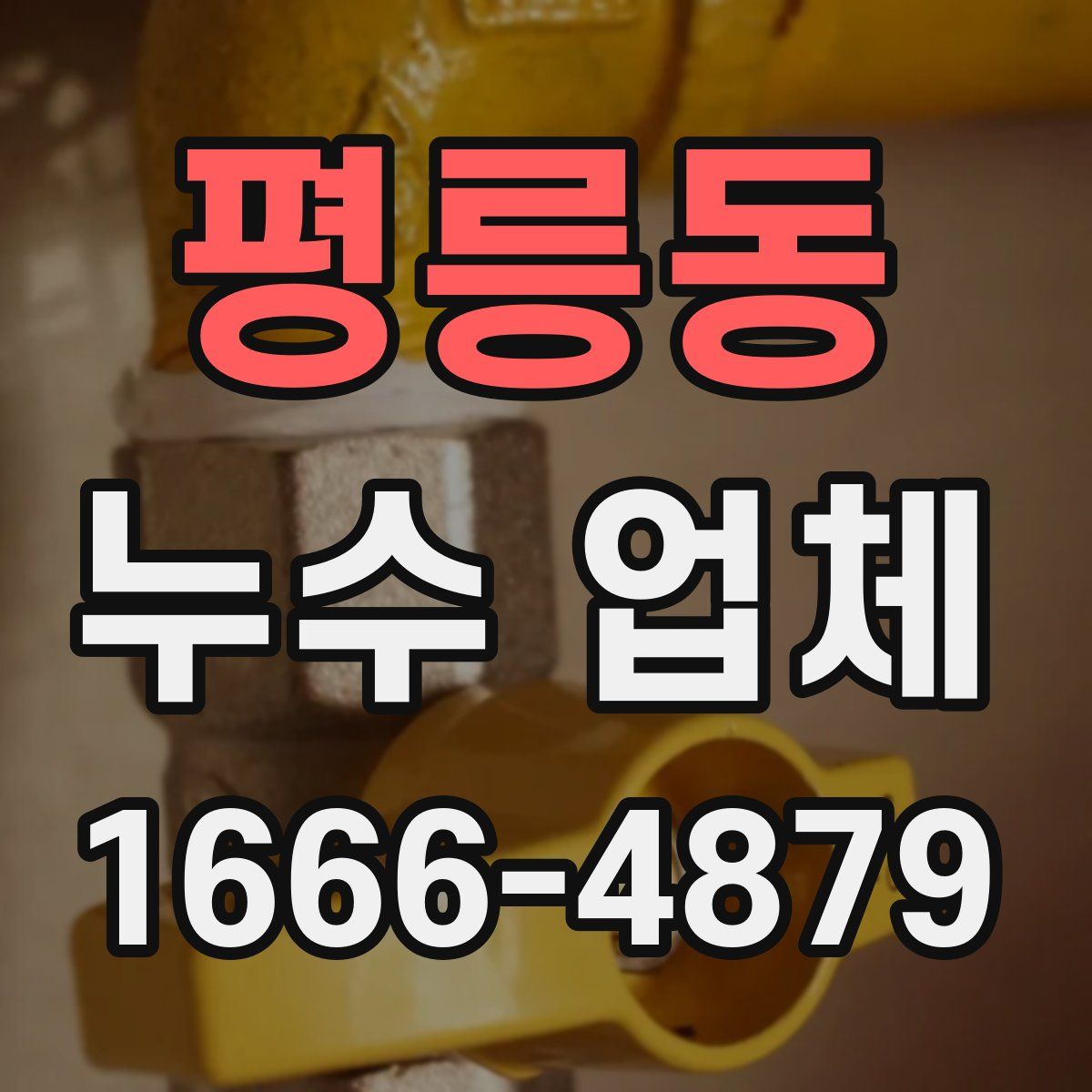평릉동 누수 업체