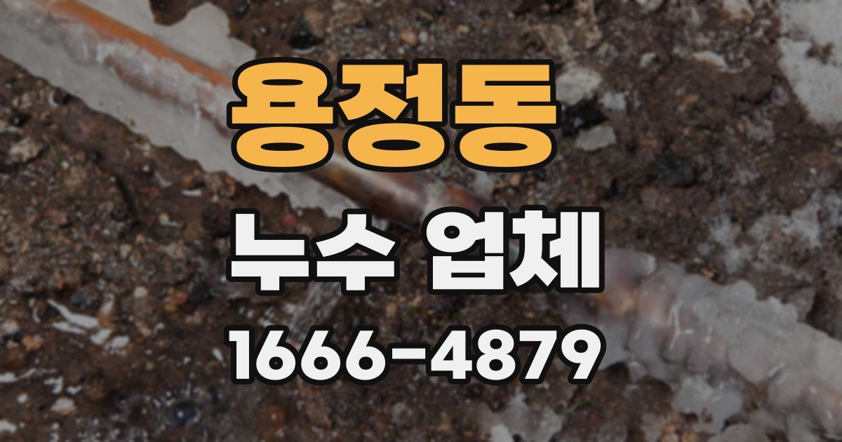 용정동 누수 업체
