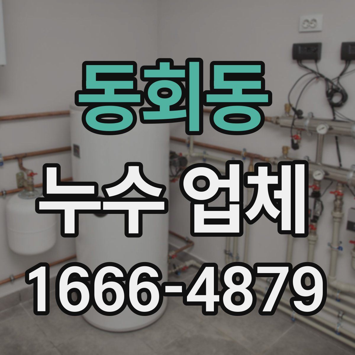 동회동 누수 업체