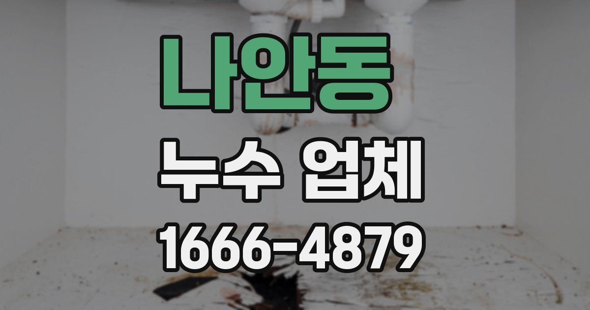 나안동 누수 업체