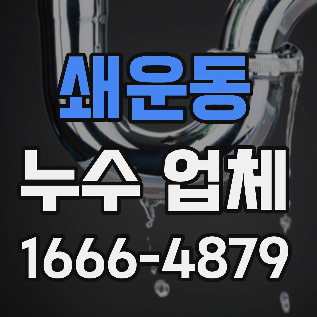 쇄운동 누수 업체
