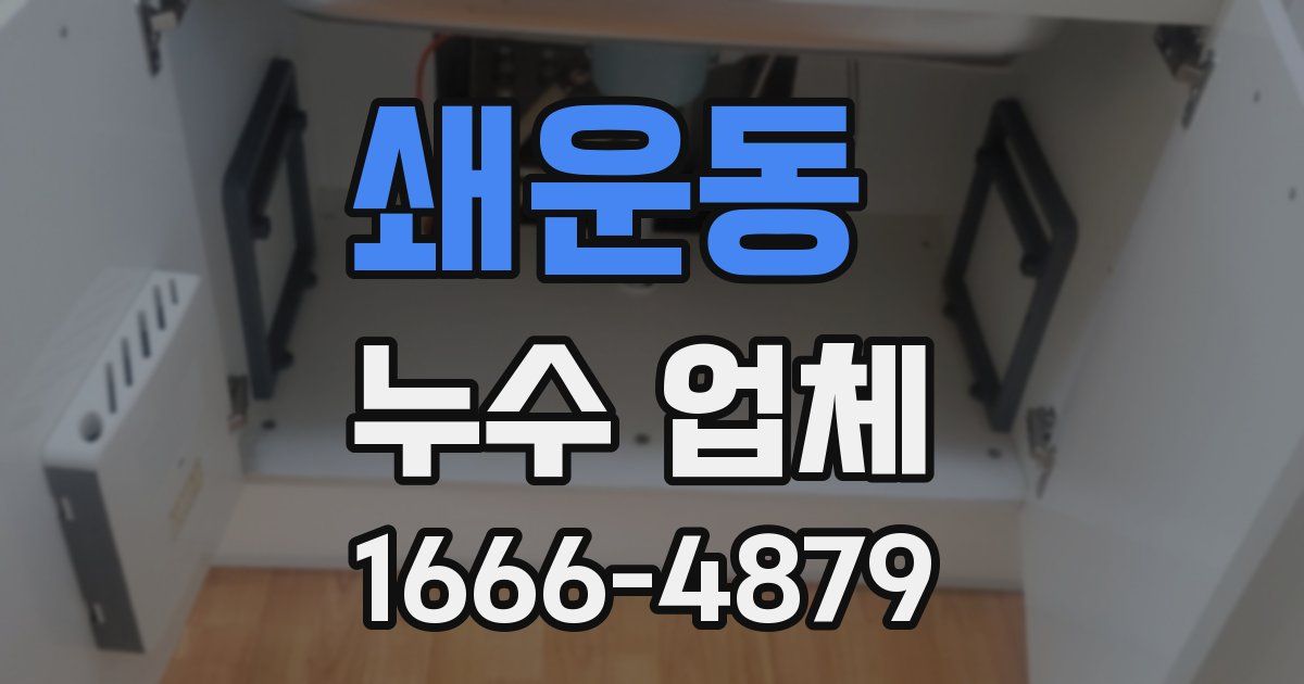 쇄운동 누수 업체