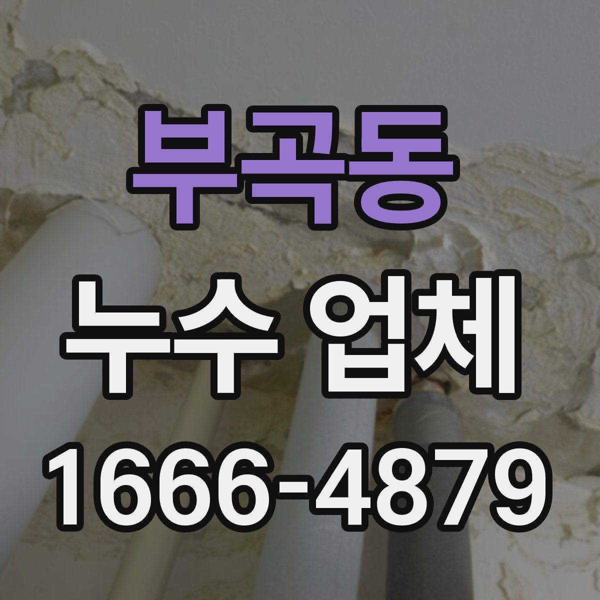 부곡동 누수 업체