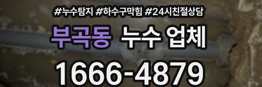 부곡동 누수 업체