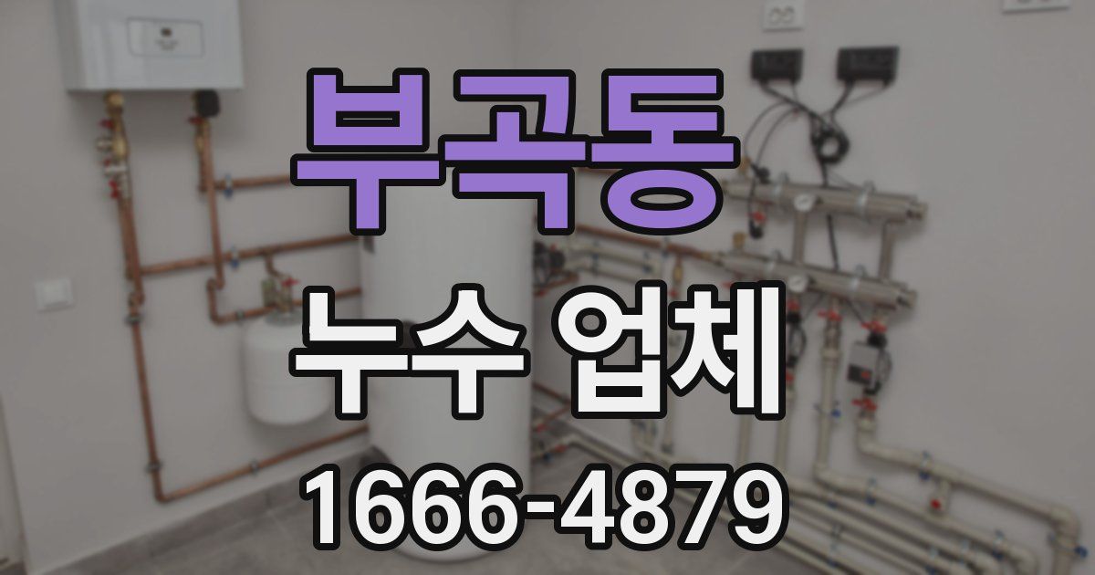 부곡동 누수 업체